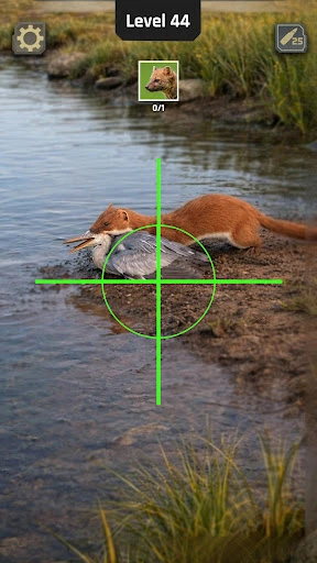 Gameplay screenshot 2 from Animal Hunter: Wild Shooting - Action game